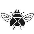 Insecta Shoes